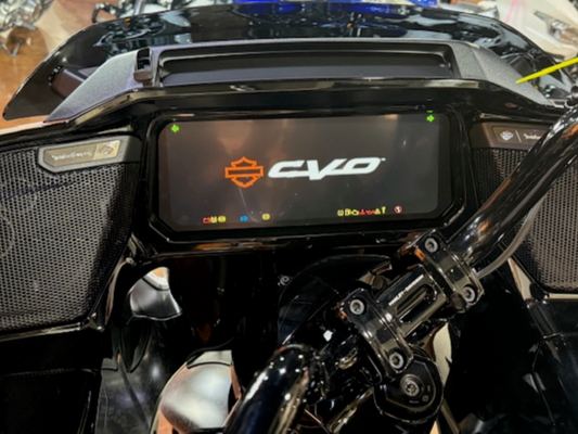 2024+ HARLEY DAVIDSON 12.3" ROADGLIDE MATTE SCREEN PROTECTOR